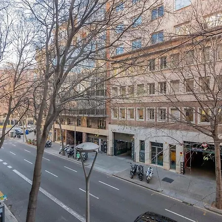 The Collection - Modern And Bright In Eixample 1-3 Appartamento *